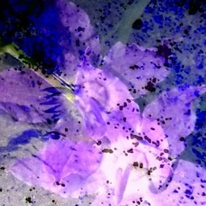 Meet your Posher, Orange laser